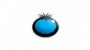 blue-tomato
